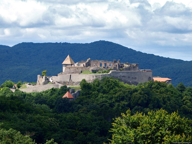 Update Szentendre & Visegrad Tour