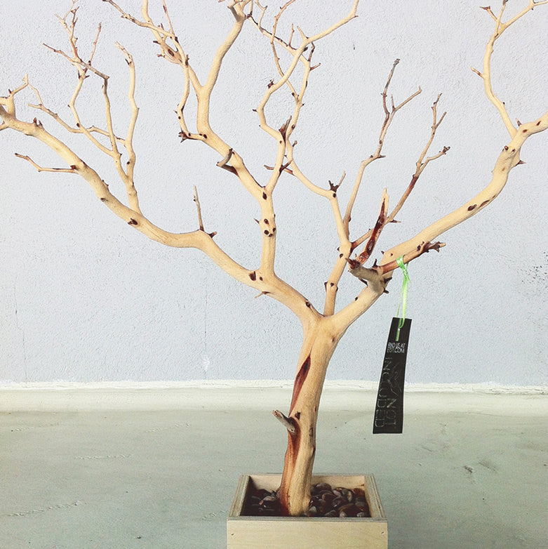Update 30" All Natural Tree Jewelry holder / Jewelry Organizer