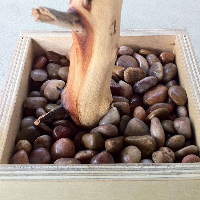 Update 30" All Natural Tree Jewelry holder / Jewelry Organizer