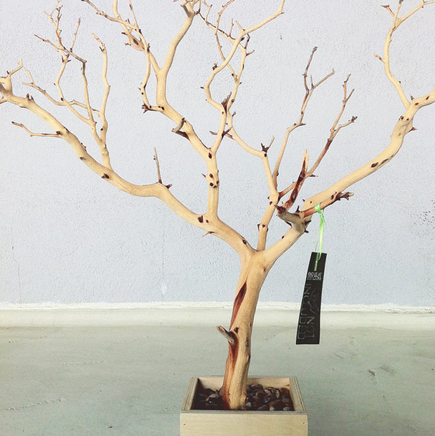 Update 30" All Natural Tree Jewelry holder / Jewelry Organizer