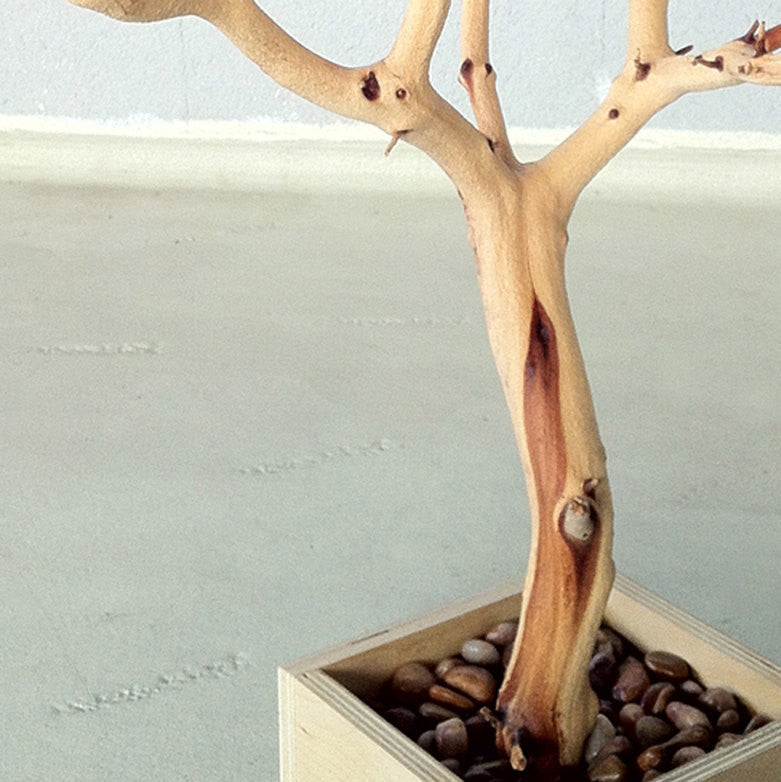 Update 30" All Natural Tree Jewelry holder / Jewelry Organizer