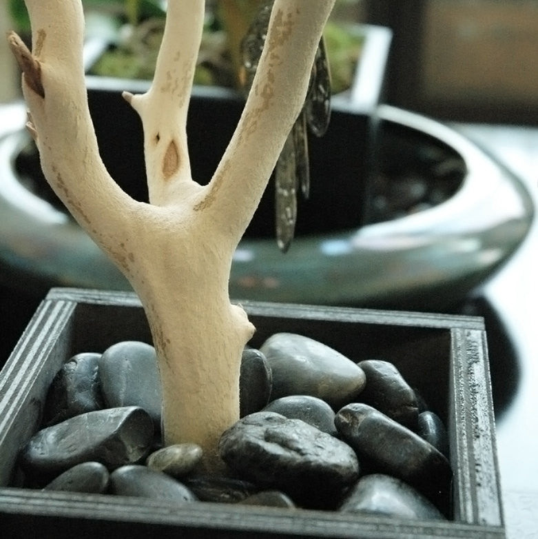 Update 24" Natural Jewelry Tree / Jewelry Organizer